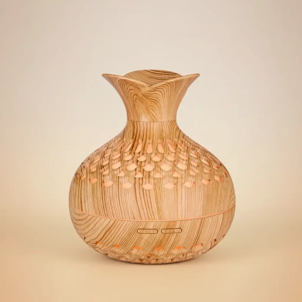  Diffuseur huiles essentielles vase LED déco